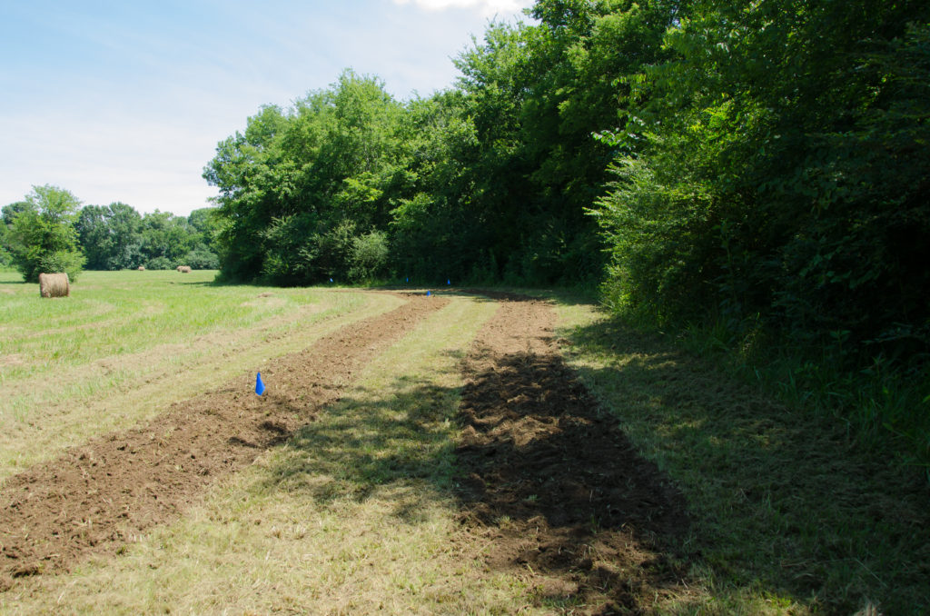 First beds