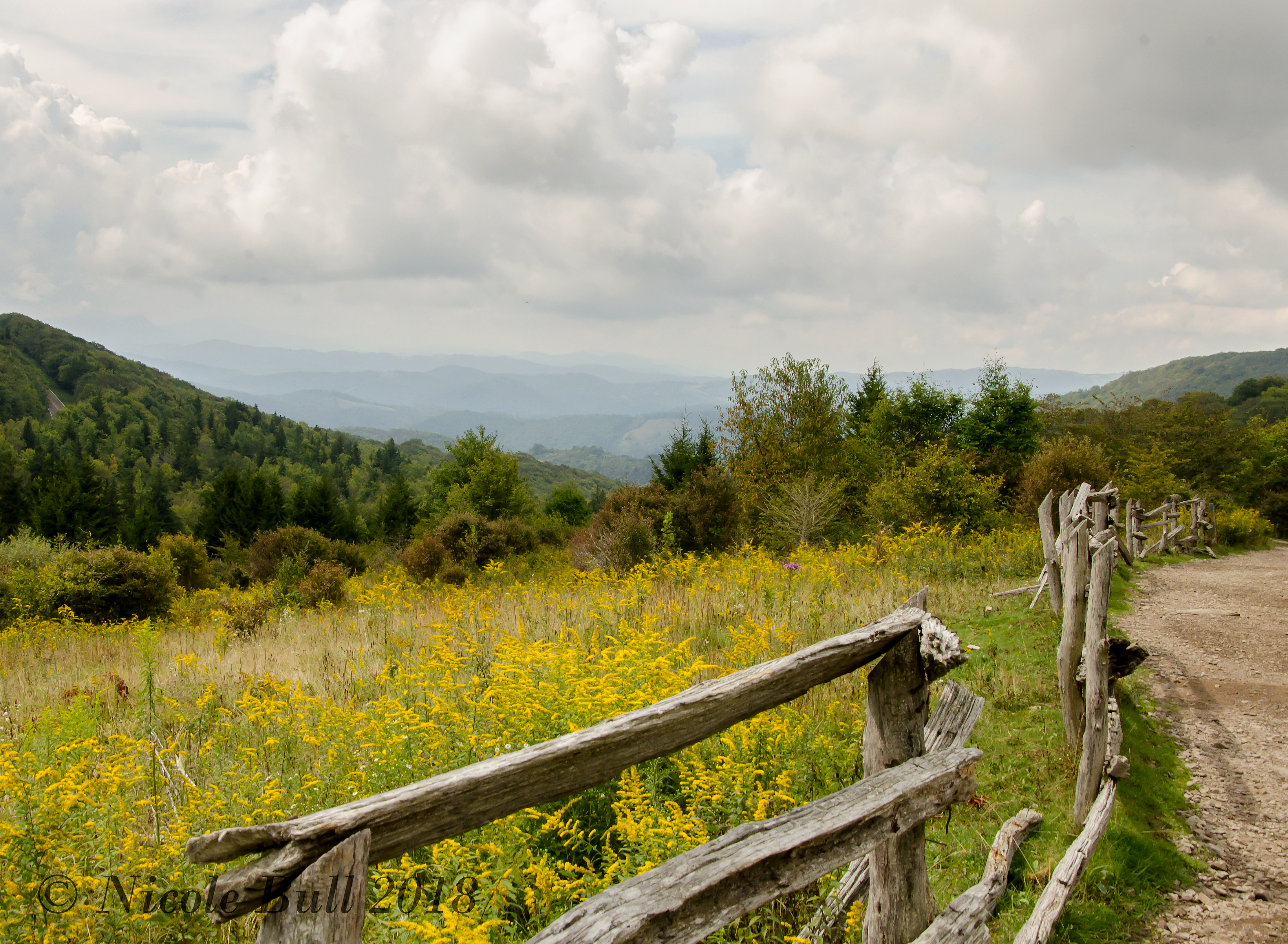 The Rhododendron Trail to the top of Grayson Highlands