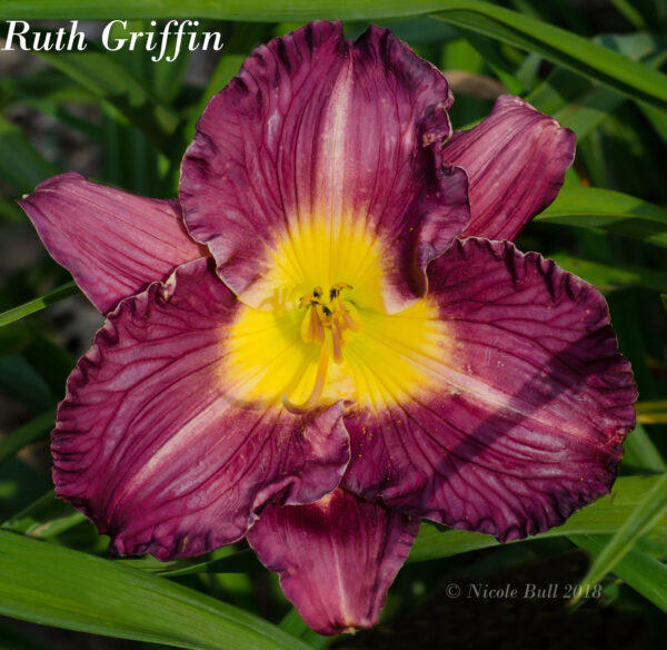Ruth Griffin